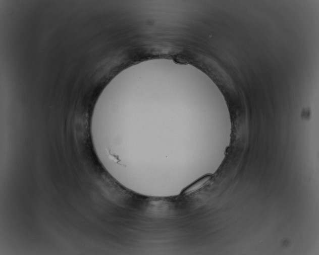 X0000101230376200807181608