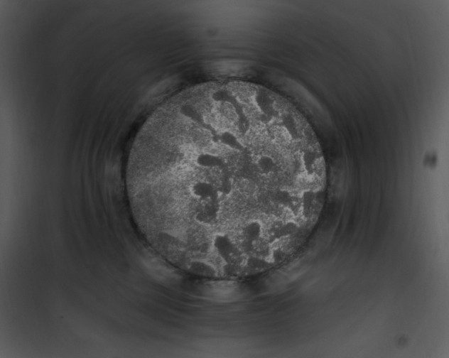 X0000101230377200807181608