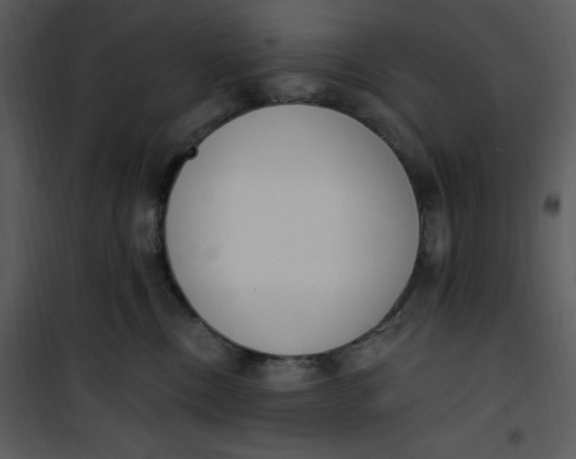 X0000101230378200807181608