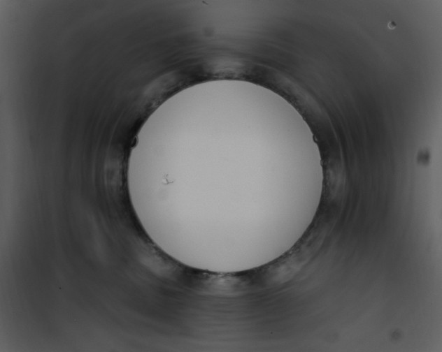 X0000101230379200807181608