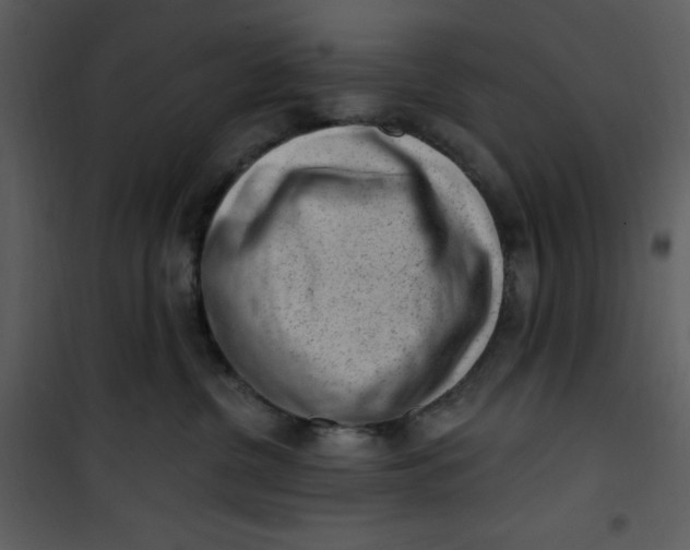 X0000101230380200807181608