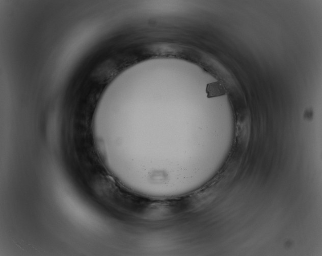 X0000101230381200807181608