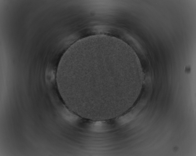 X0000101230382200807181608