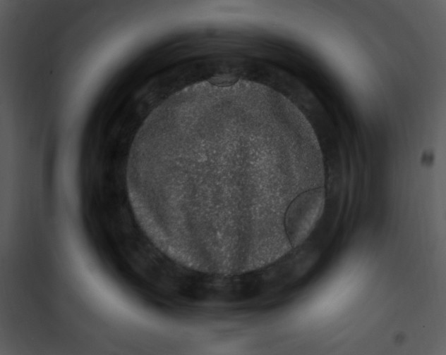 X0000101230383200807181608