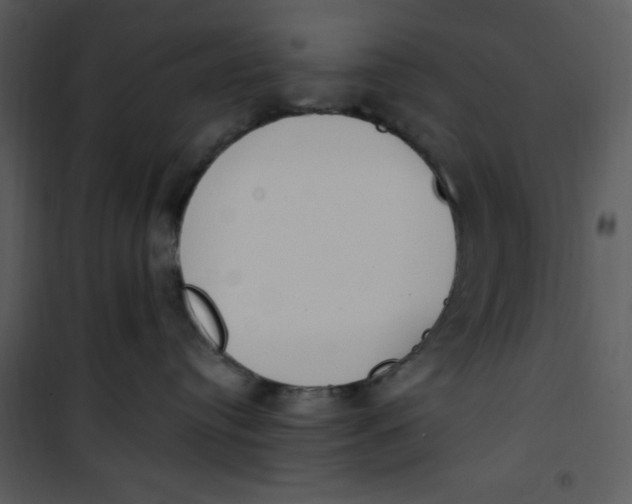 X0000101230384200807181608