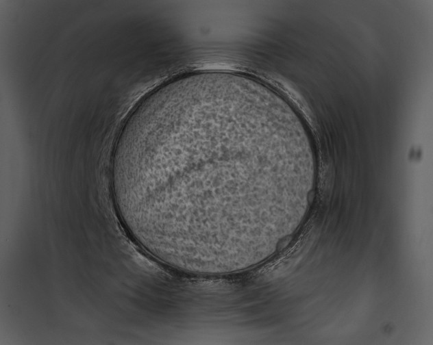 X0000101230385200807181608