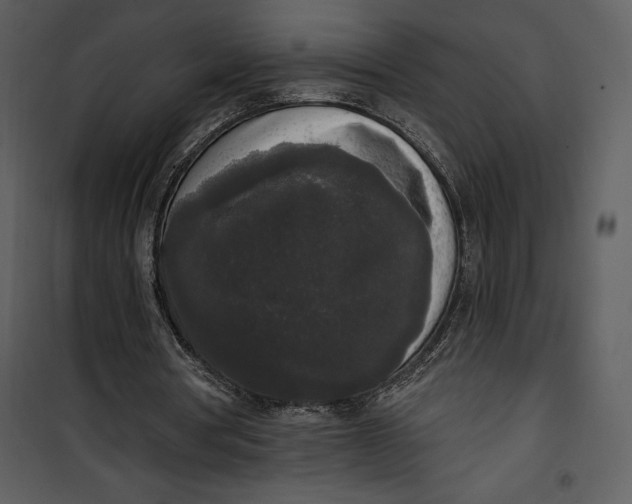 X0000101230386200807181608