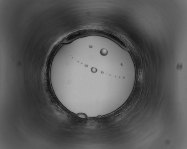 X0000101230388200807181608