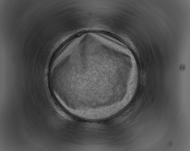 X0000101230389200807181608