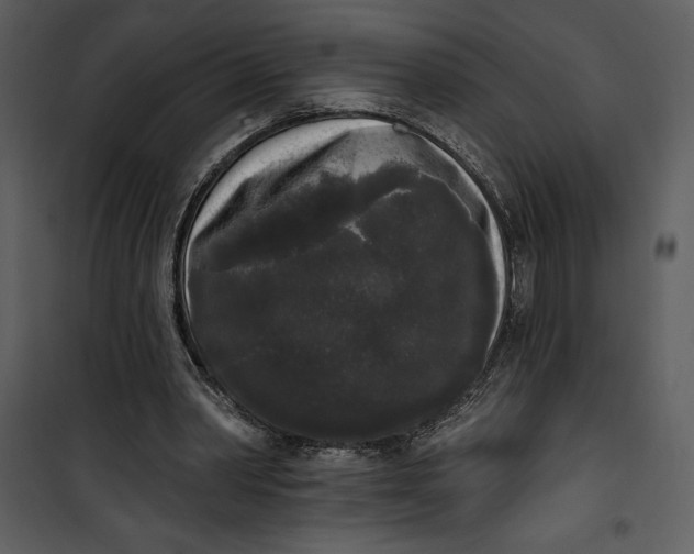 X0000101230390200807181608