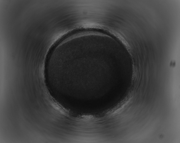 X0000101230391200807181608