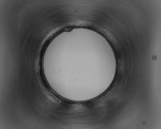 X0000101230392200807181608