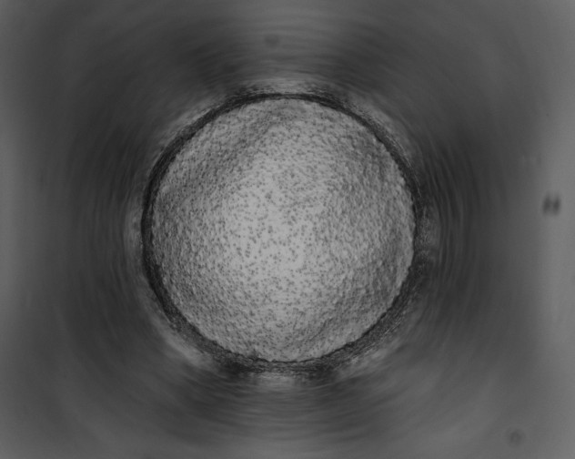 X0000101230394200807181608