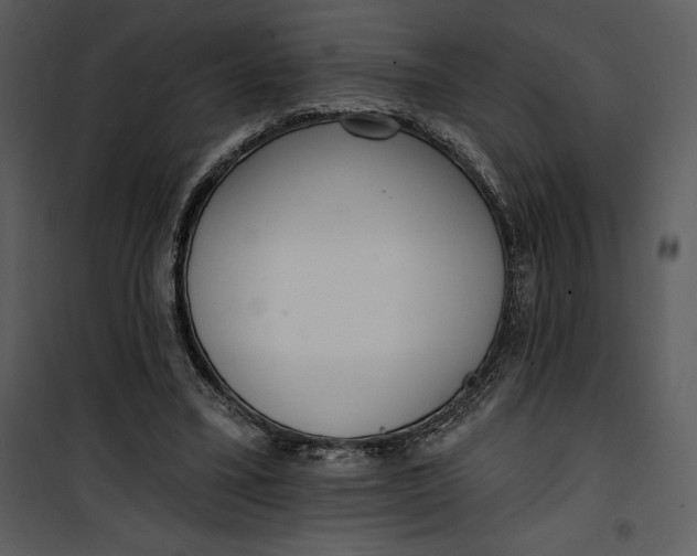 X0000101230395200807181608