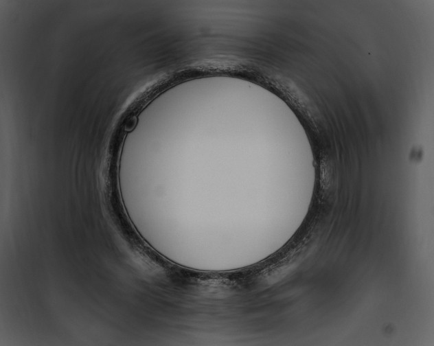 X0000101230396200807181608