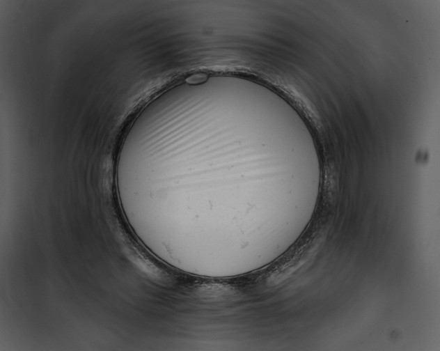 X0000101230397200807181608