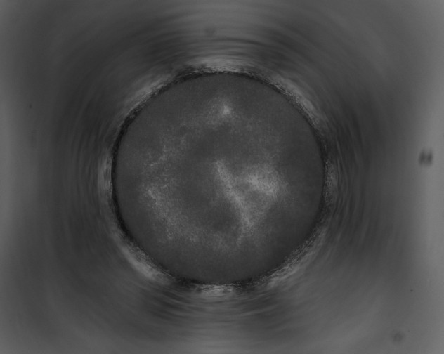 X0000101230398200807181608