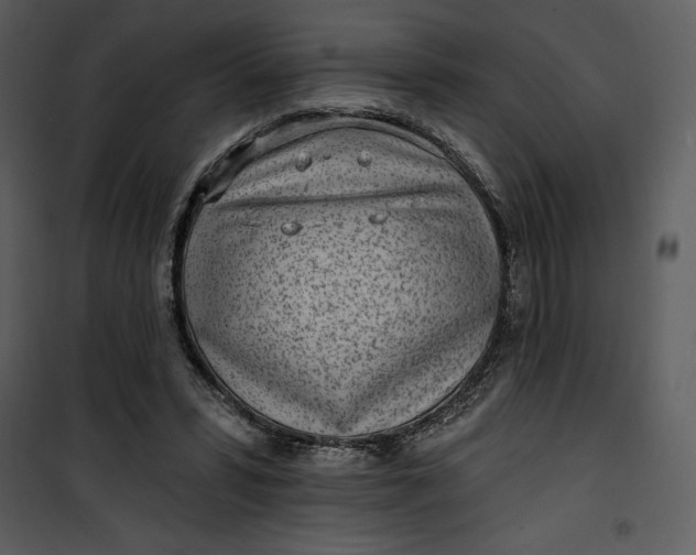 X0000101230399200807181608