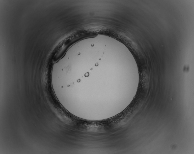 X0000101230400200807181608