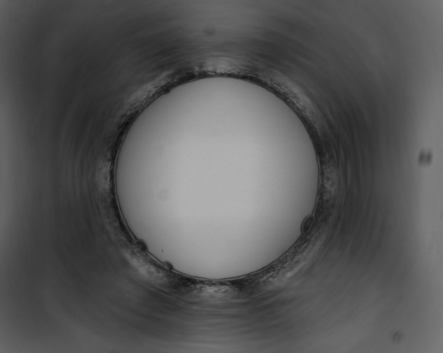 X0000101230401200807181608