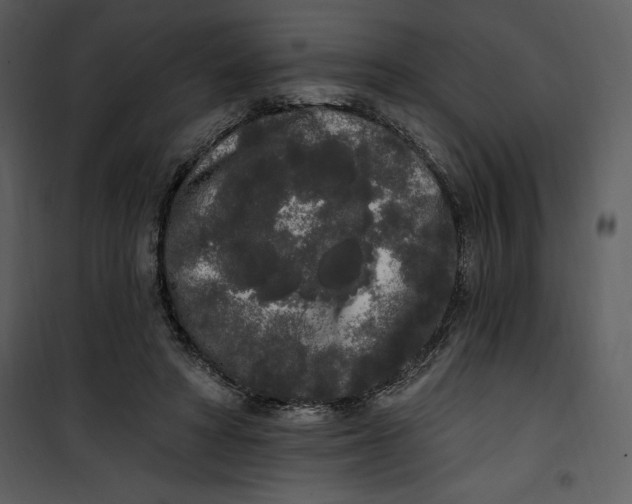 X0000101230402200807181608