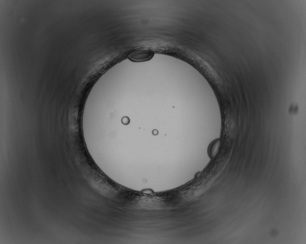 X0000101230403200807181607