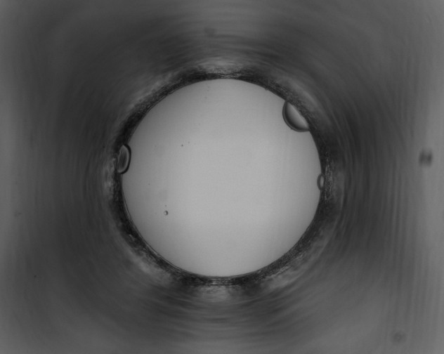 X0000101230404200807181607