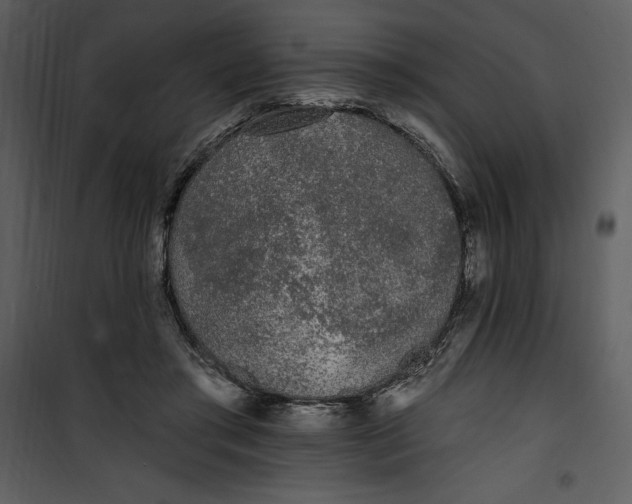 X0000101230405200807181607