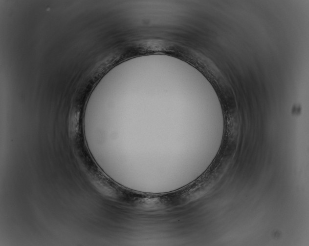 X0000101230406200807181607