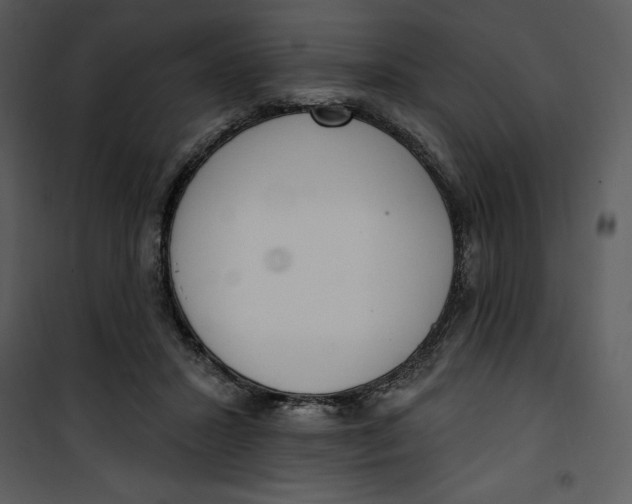 X0000101230407200807181607