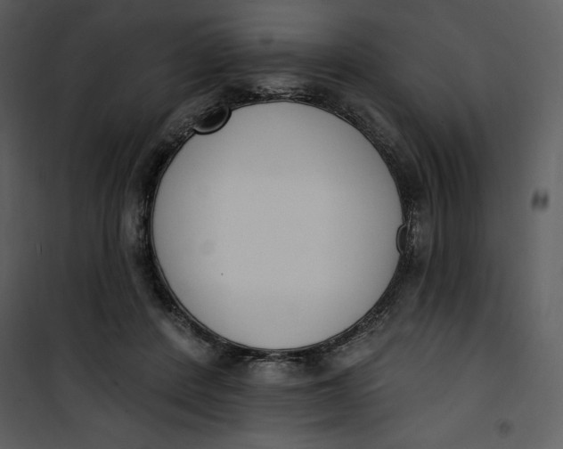 X0000101230408200807181607