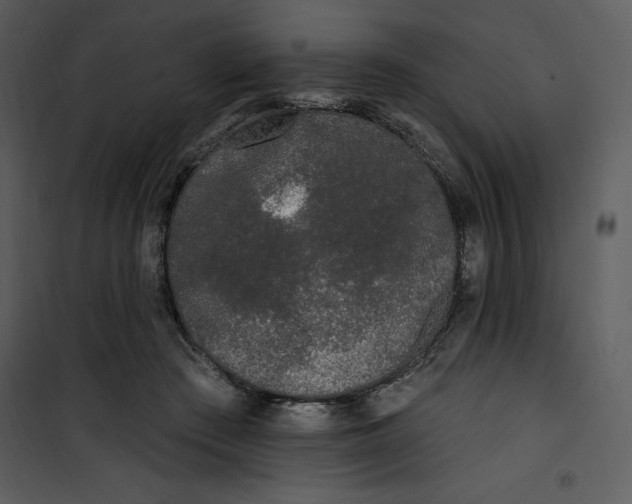 X0000101230409200807181607