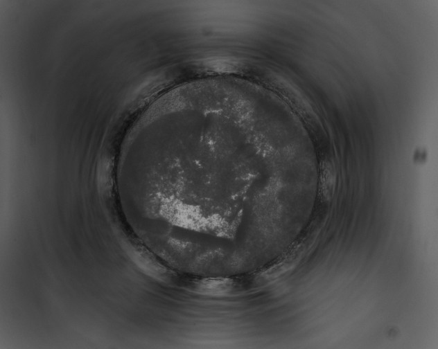 X0000101230410200807181607