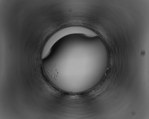 X0000101230411200807181607