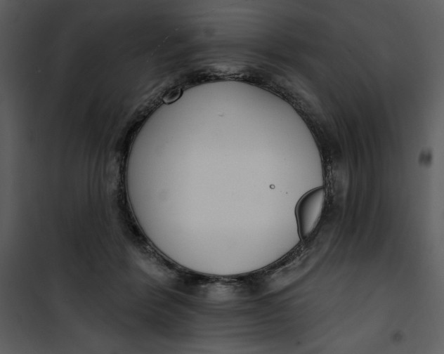 X0000101230412200807181607