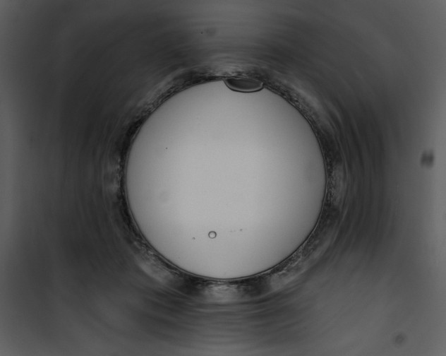 X0000101230413200807181607