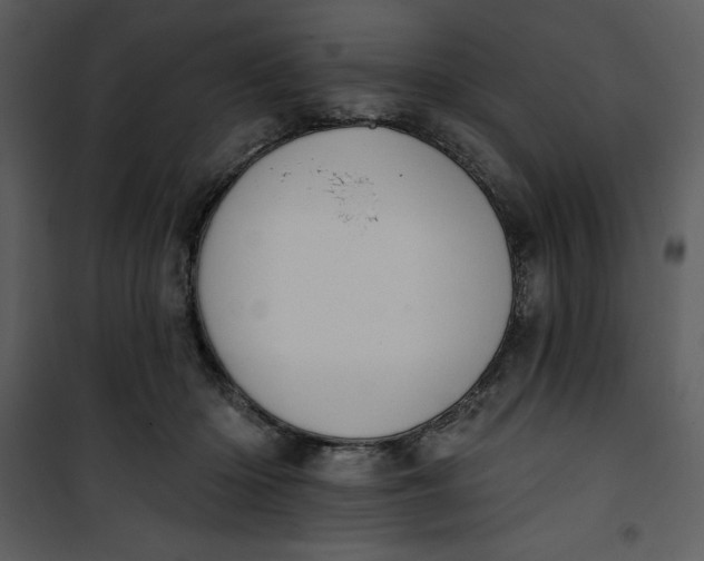 X0000101230414200807181607