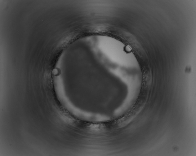 X0000101230415200807181607