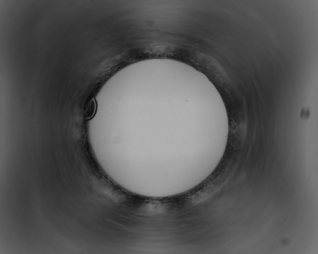 X0000101230416200807181607