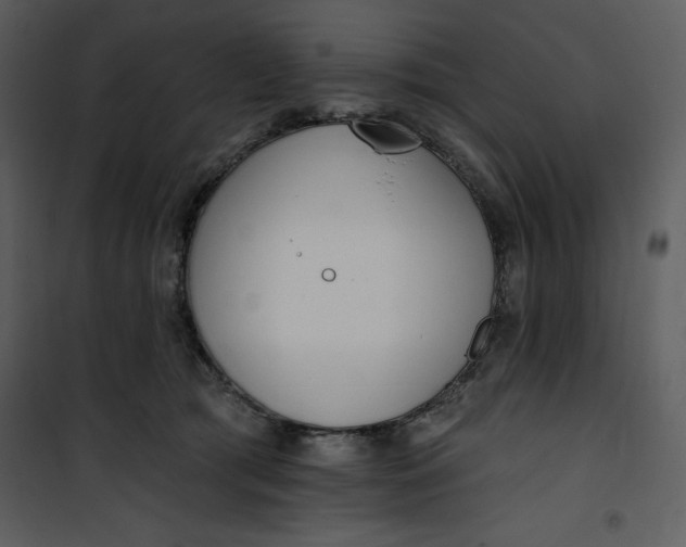 X0000101230417200807181607