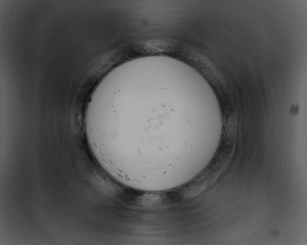 X0000101230418200807181607