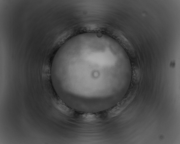 X0000101230419200807181607