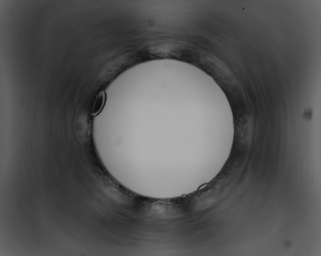 X0000101230420200807181607