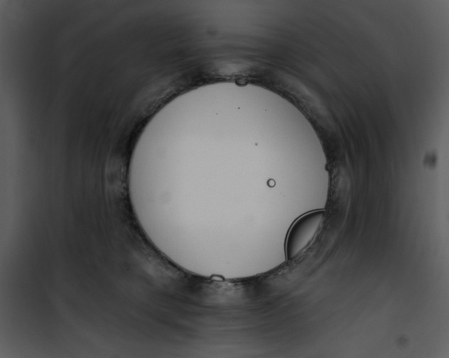 X0000101230421200807181607