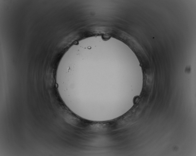 X0000101230422200807181607