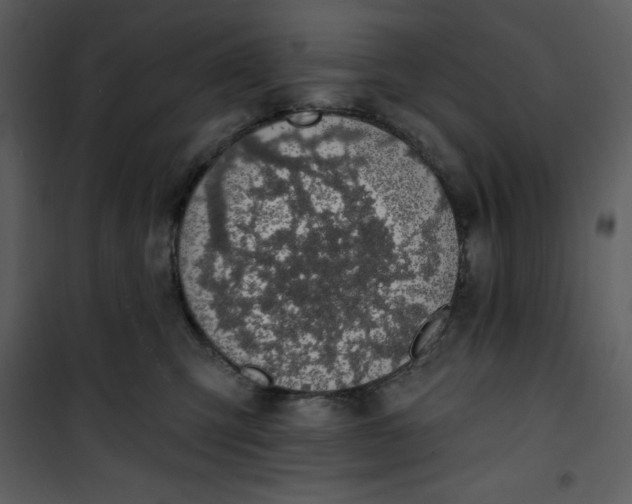 X0000101230423200807181607