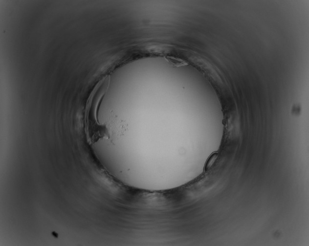 X0000101230424200807181607