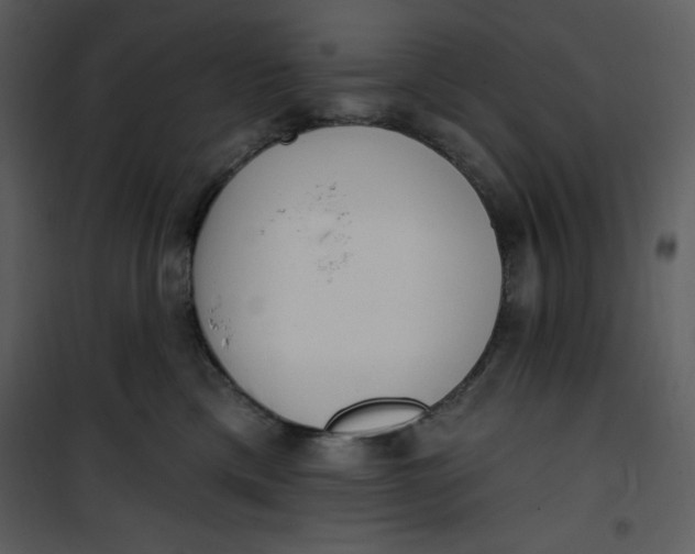 X0000101230425200807181607