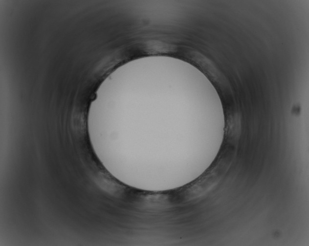 X0000101230426200807181607