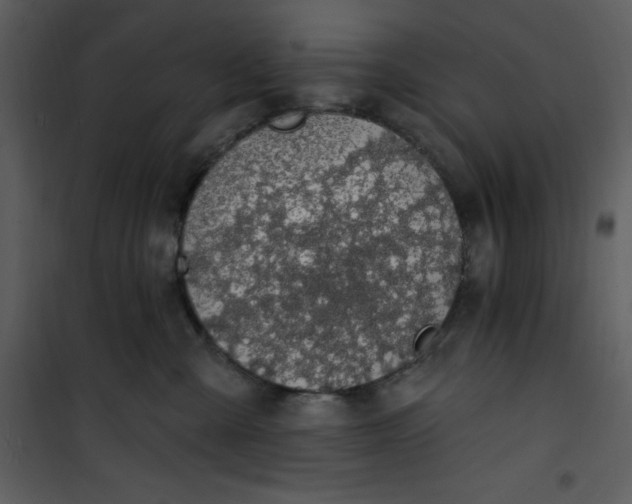 X0000101230427200807181607